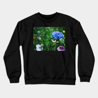 Cornflower Crewneck Sweatshirt